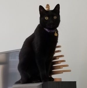 Meet your Posher, Olena